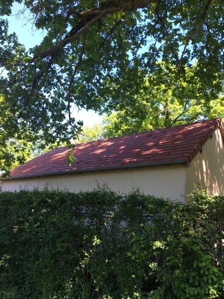 Img 0633